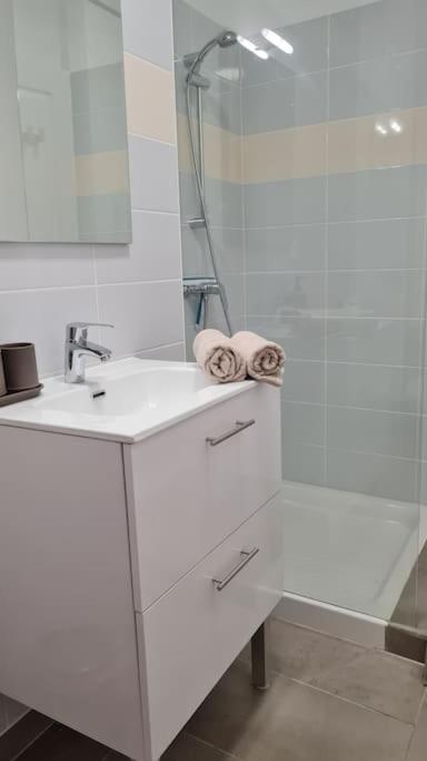 Le Green Parc, Libourne Hypercentre, Netflix, Clim Apartman Kültér fotó